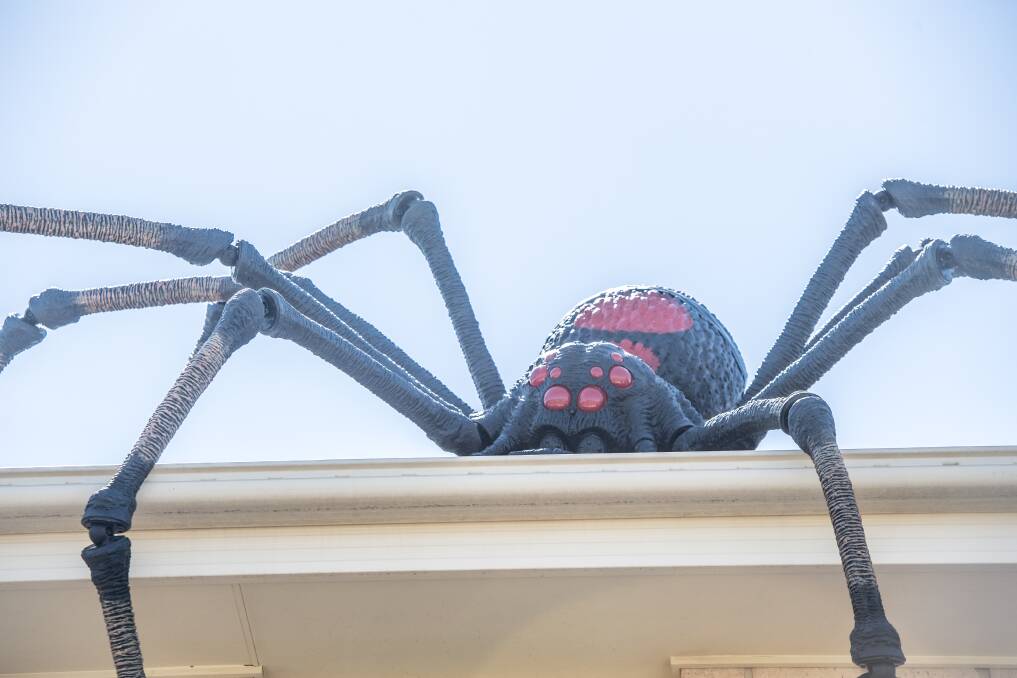 A Harrison house is all dressed up for Halloween. Pictures: Karleen Minney