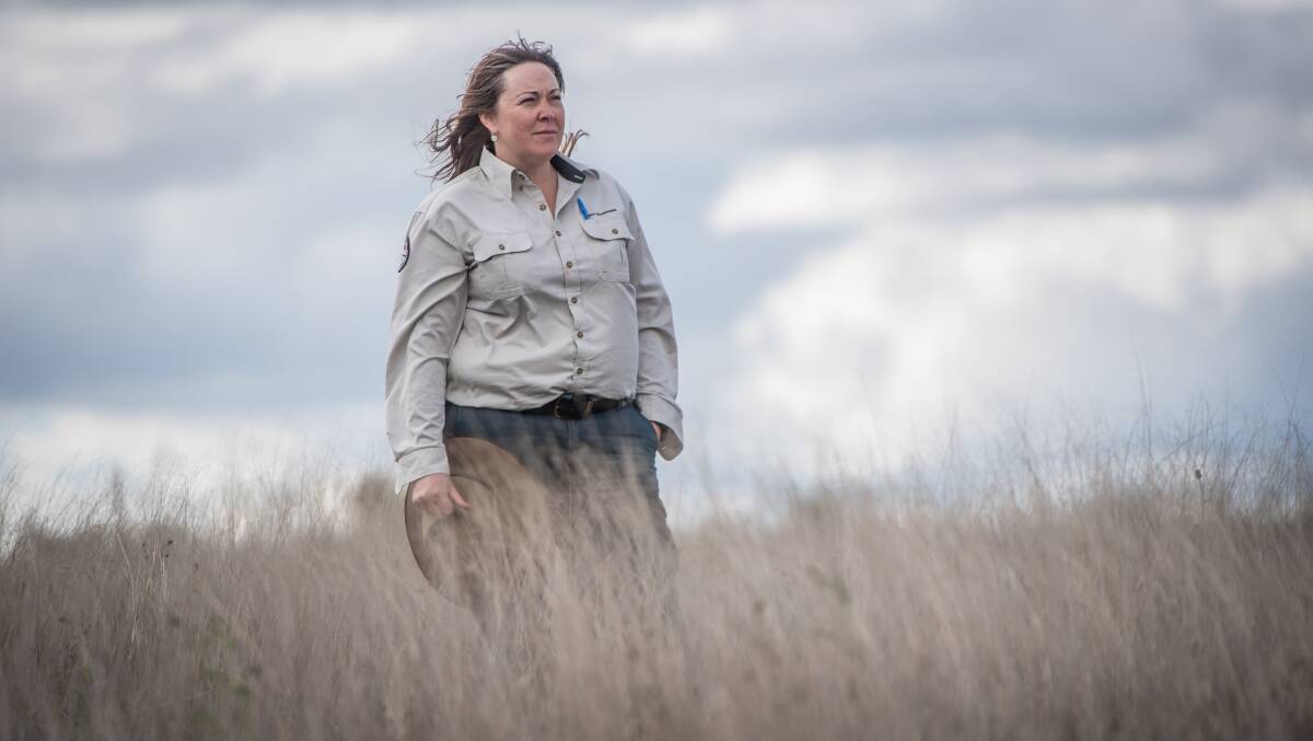 ACT Parks and Conservation ranger in charge of urban reserves south Maree Gilbert with invasive African lovegrass in the median strip on Canberra Avenue. Picture: Karleen Minney