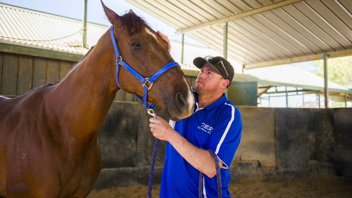 Todd Blowes is shattered stable star Noble Boy is moving to Sydney. Picture: Dion Georgopoulos