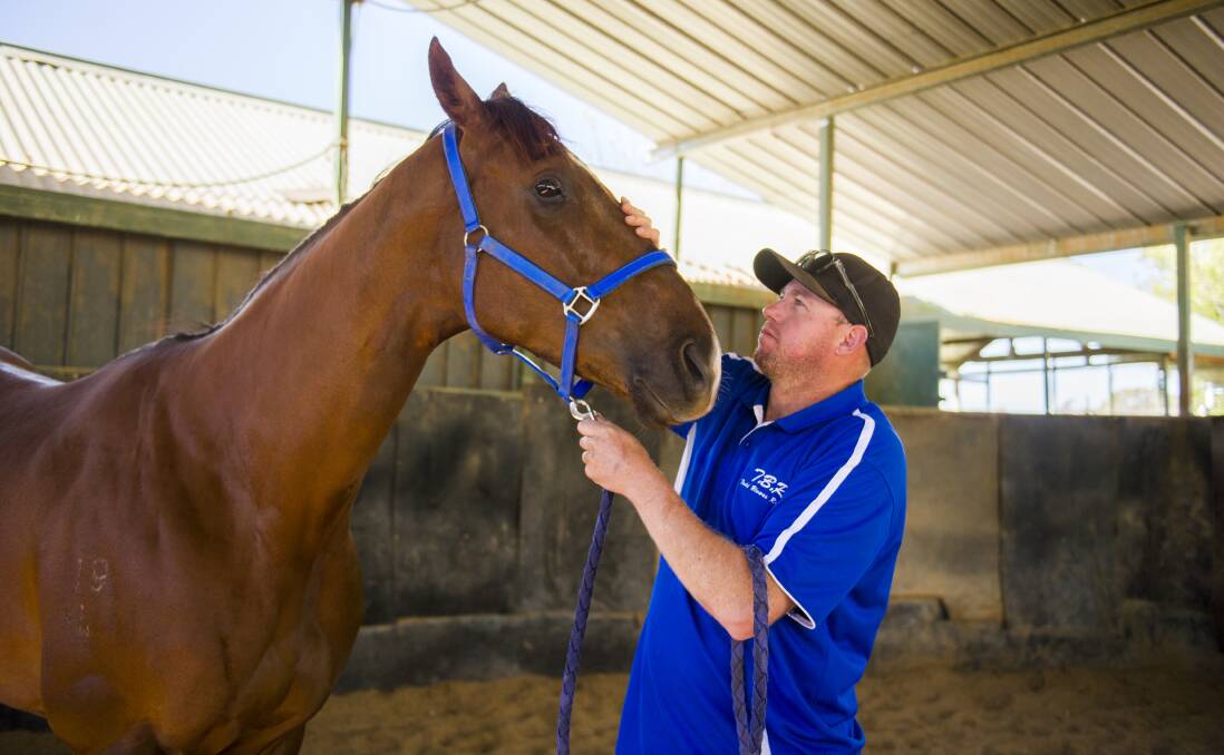 It's been a hectic 12 months for Queanbeyan trainer Todd Blowes and Noble Boy ahead of the $1.3 million Kosciuszko at Randwick on Saturday. Picture: Dion Georgopoulos