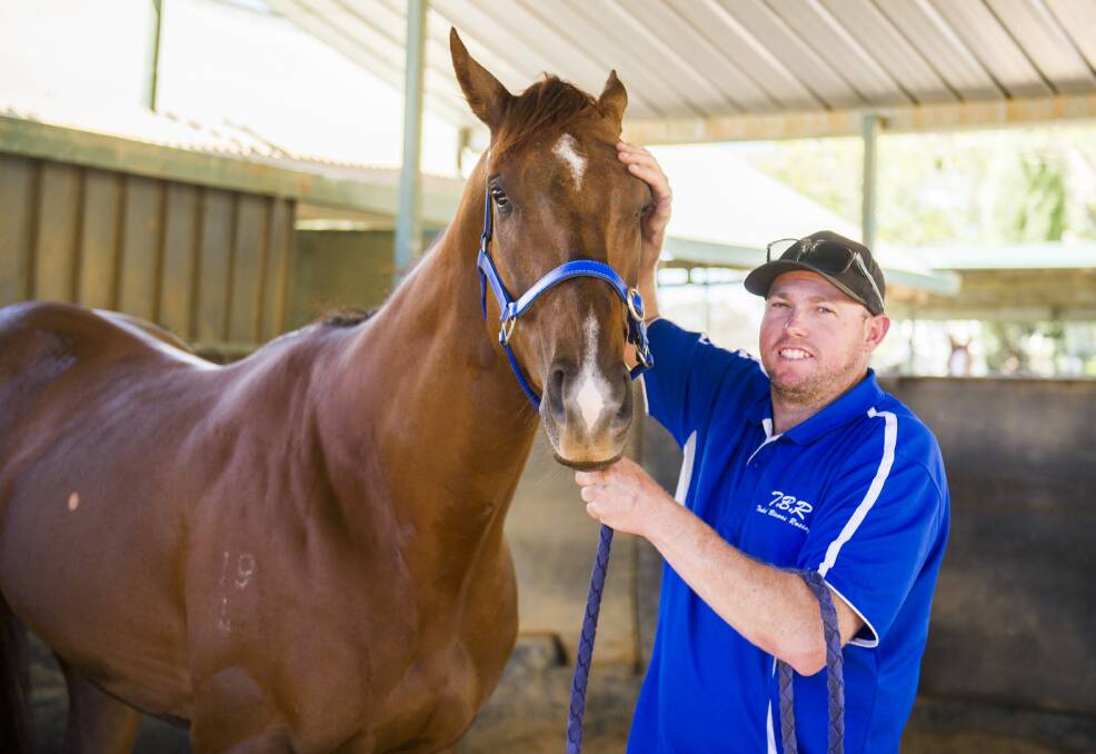Queanbeyan horse trainer Todd Blowes with his horse Noble Boy who's racing in the Villiers Stakes on Saturday. Picture: Dion Georgopoulos