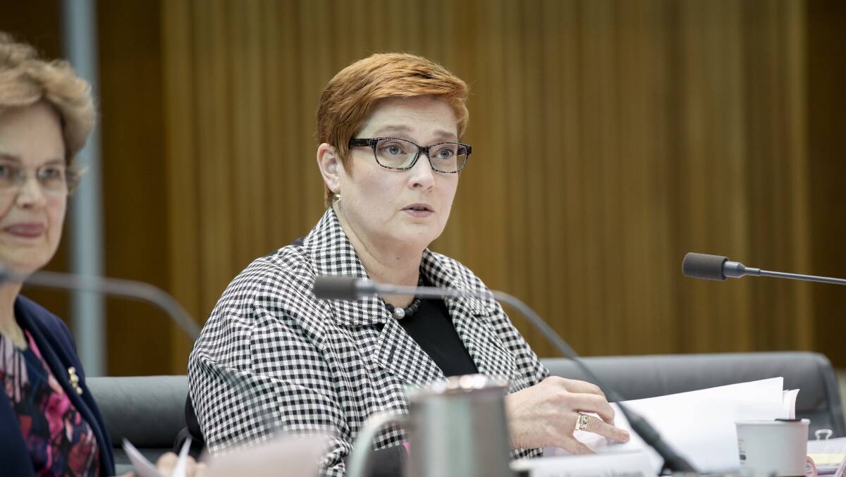Foreign Affairs Minister Marise Payne will have the power to veto university agreements with foreign governments under new laws. Picture: Sitthixay Ditthavong