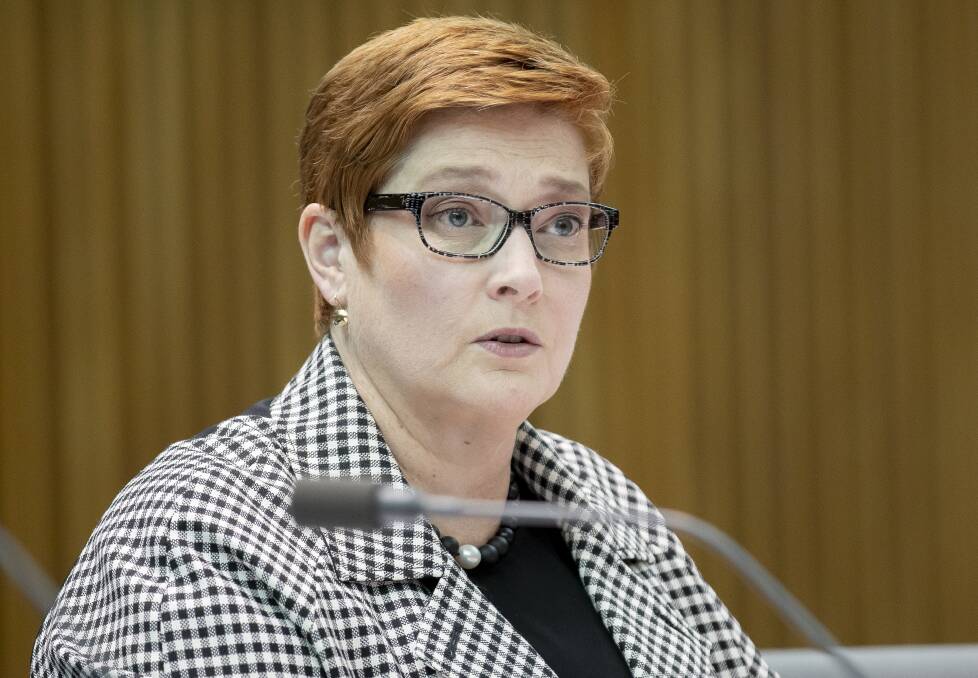 Foreign Minister Marise Payne. Picture: Sitthixay Ditthavong