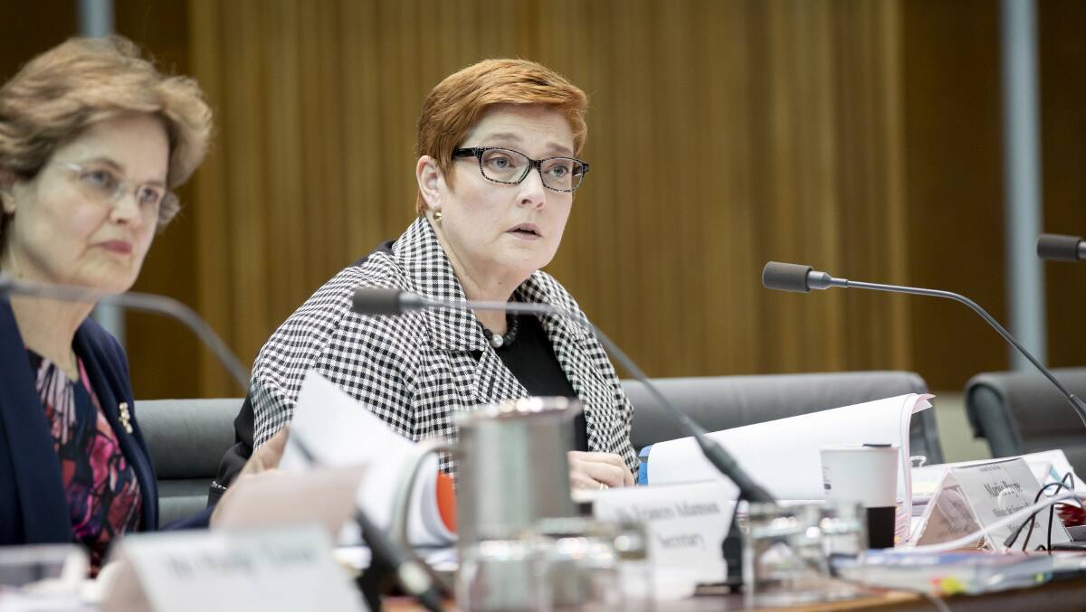 "Australians are becoming better informed and better prepared when they travel": Foreign Affairs Minister Marise Payne. Picture: Sitthixay Ditthavong