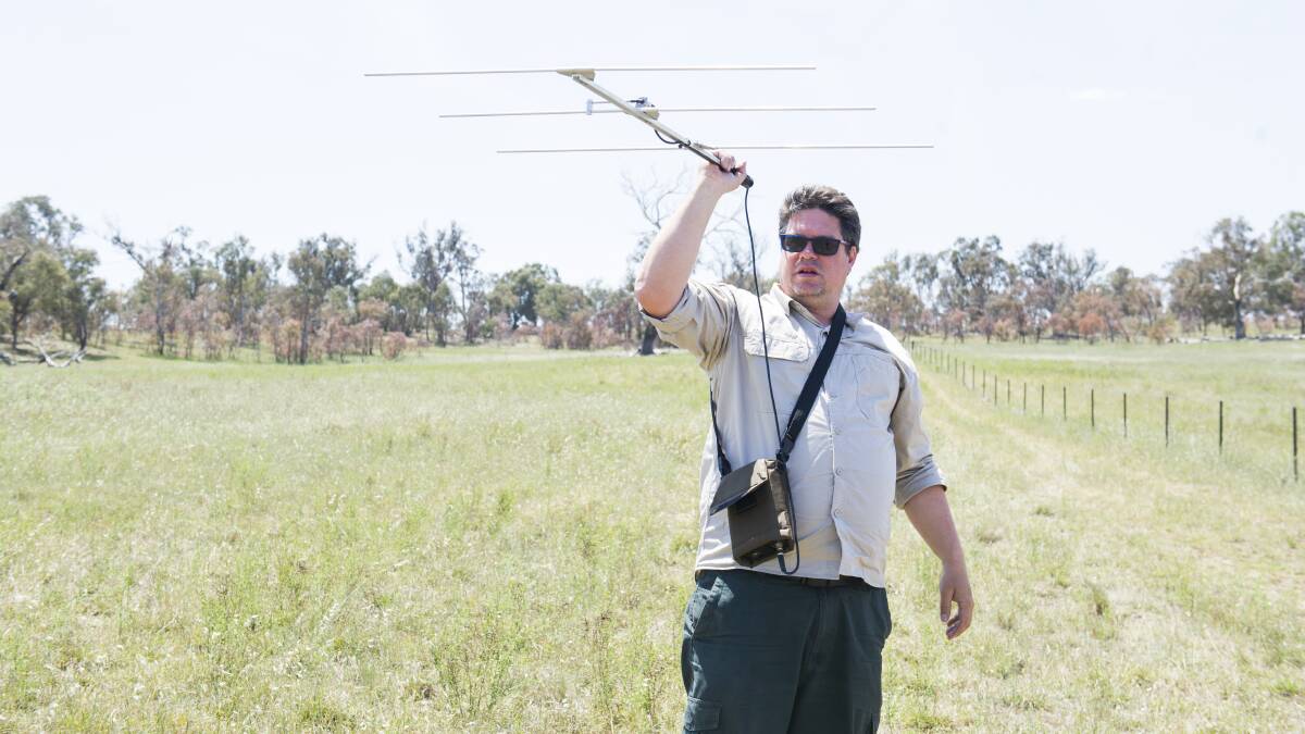 ACT Parks and Conservation Service research ecologist Ben Croak uses a radio antenna and transmitters to track the movements of striped legless lizards. Picture: Dion Georgopoulos