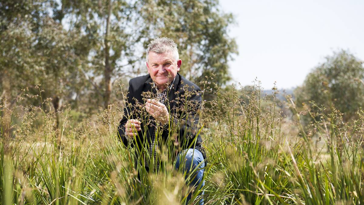 Arboretum director Scott Sadler kneels among the smooth flax lily, at the Arboretum Bush Tucker Garden. Picture: Dion Georgopoulos