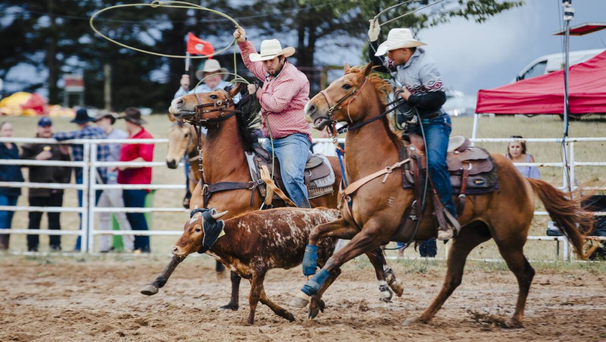 Action from the Bungendore Rodeo on Sunday. Picture: Jamila Toderas