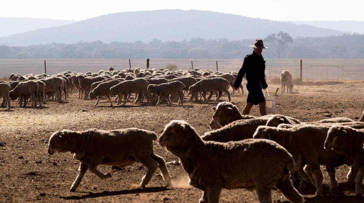 Australians shouldn't assume recent rain has fixed the drought. Picture: Janie Barrett