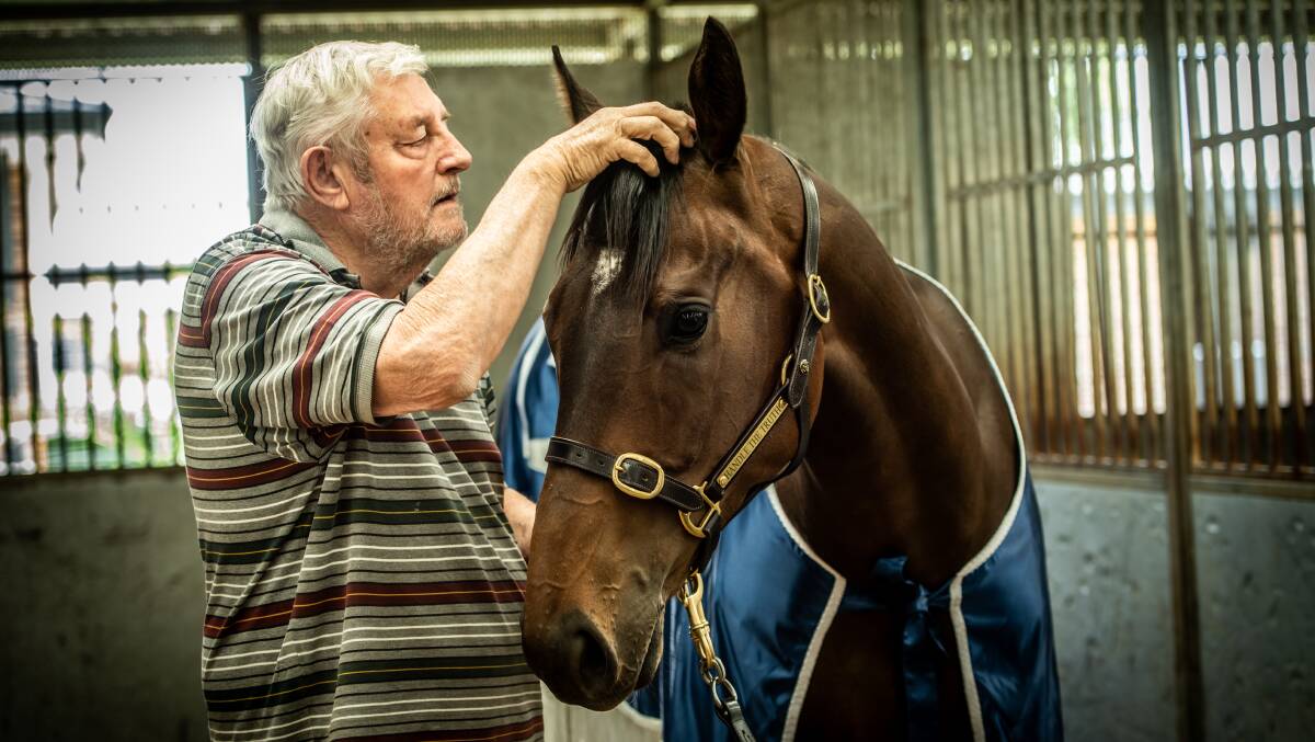 Canberra trainer Keith Dryden and Handle the Truth. Mr Dryden has three horses racing on Tuesday. Picture: Karleen Minney