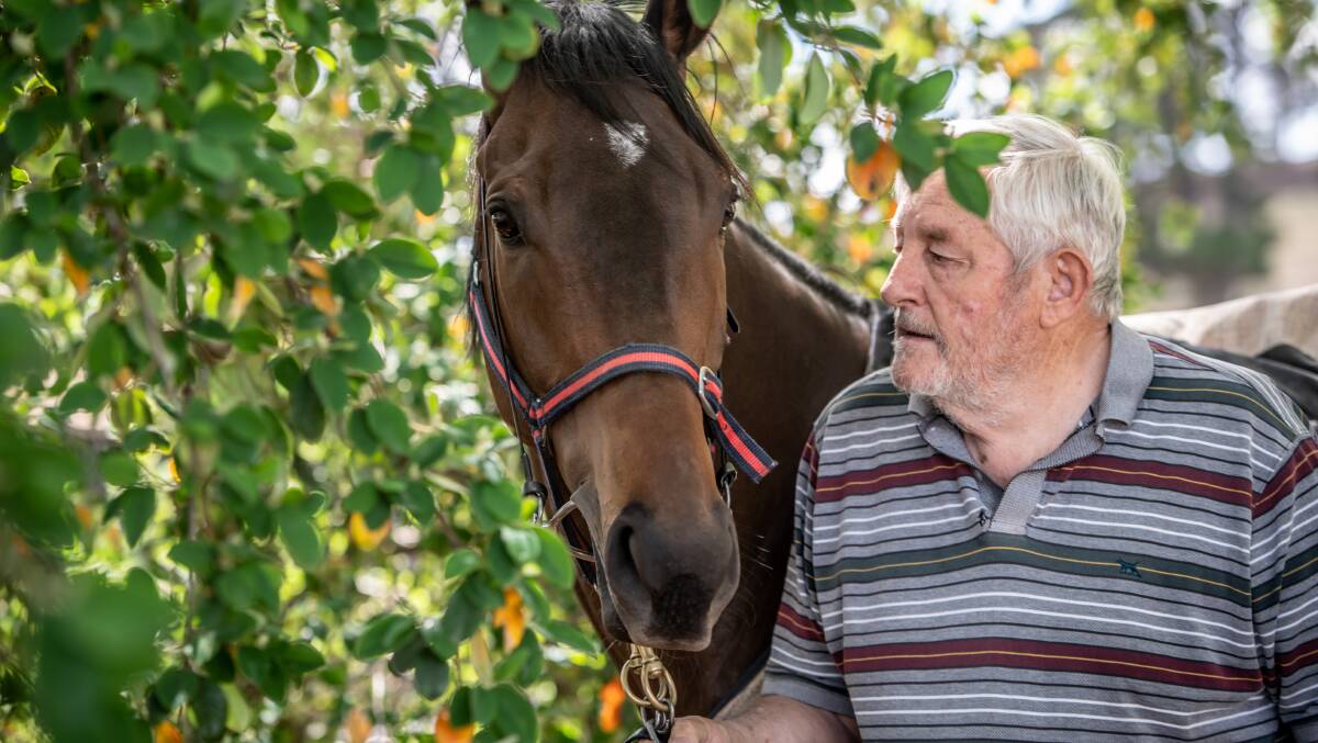 Keith Dryden and Kosciuszko-winning horse Handle the Truth. Picture: Karleen Minney