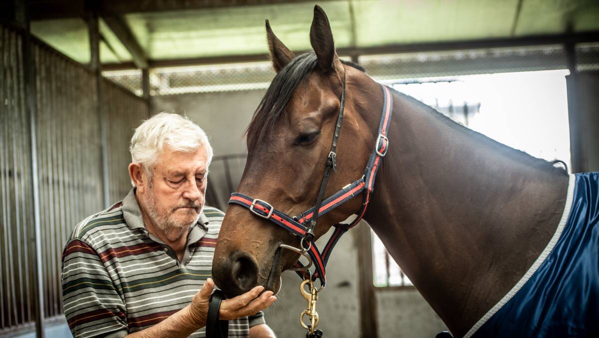 Trainer Keith Dryden and Handle The Truth will take on a strong field. Picture: Karleen Minney