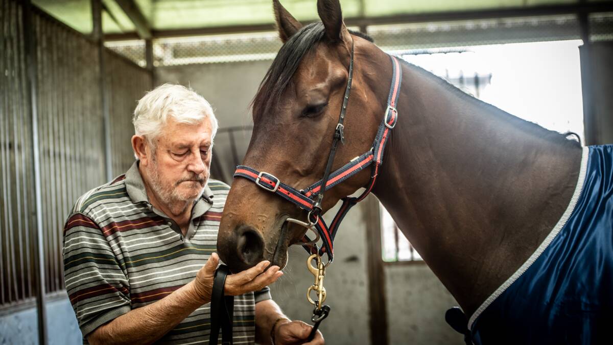 Veteran Canberra trainer Keith Dryden will easily defend his title. Picture: Karleen Minney