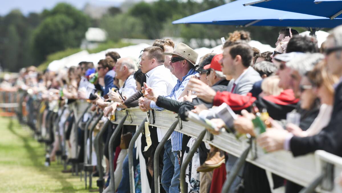 Punters taking in some Canberra racing on Melbourne Cup Day. Picture: Dion Georgopoulos