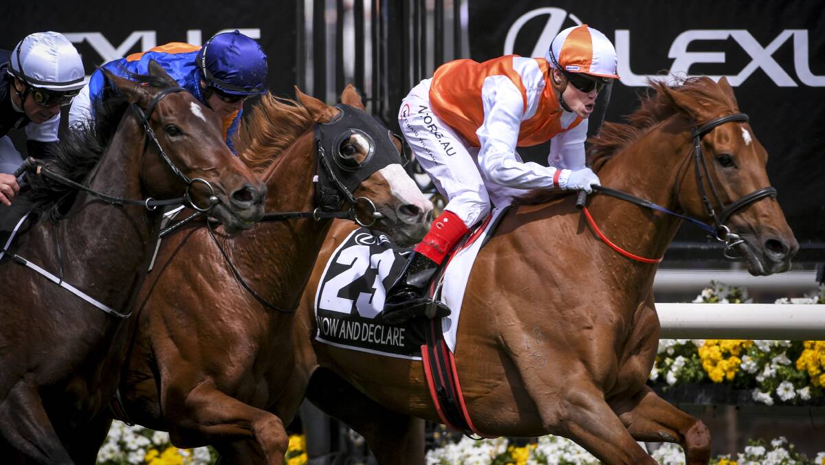 Vow And Declare wins the 2019 Melbourne Cup on Tuesday. Picture: Eddie Jim