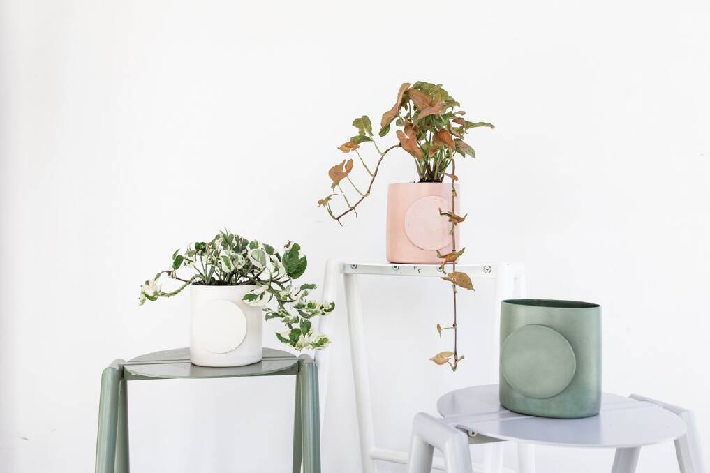 Planter pots from Gingerfinch.