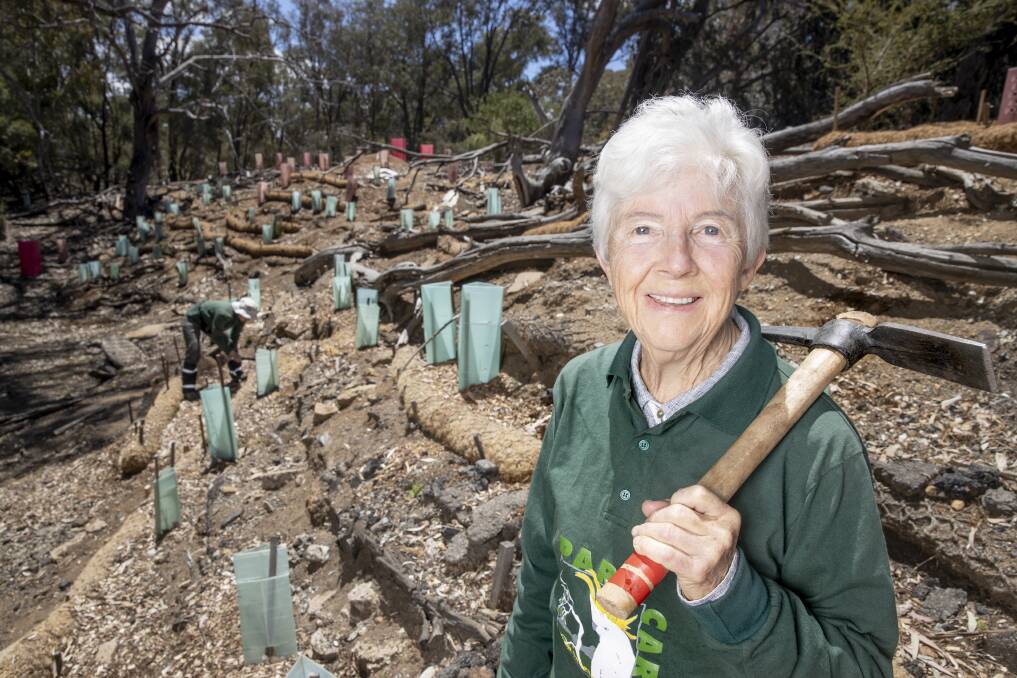 Margaret Clough has been a ParkCare volunteer for 20 years at Mount Ainslie. Picture: Sitthixay Ditthavong