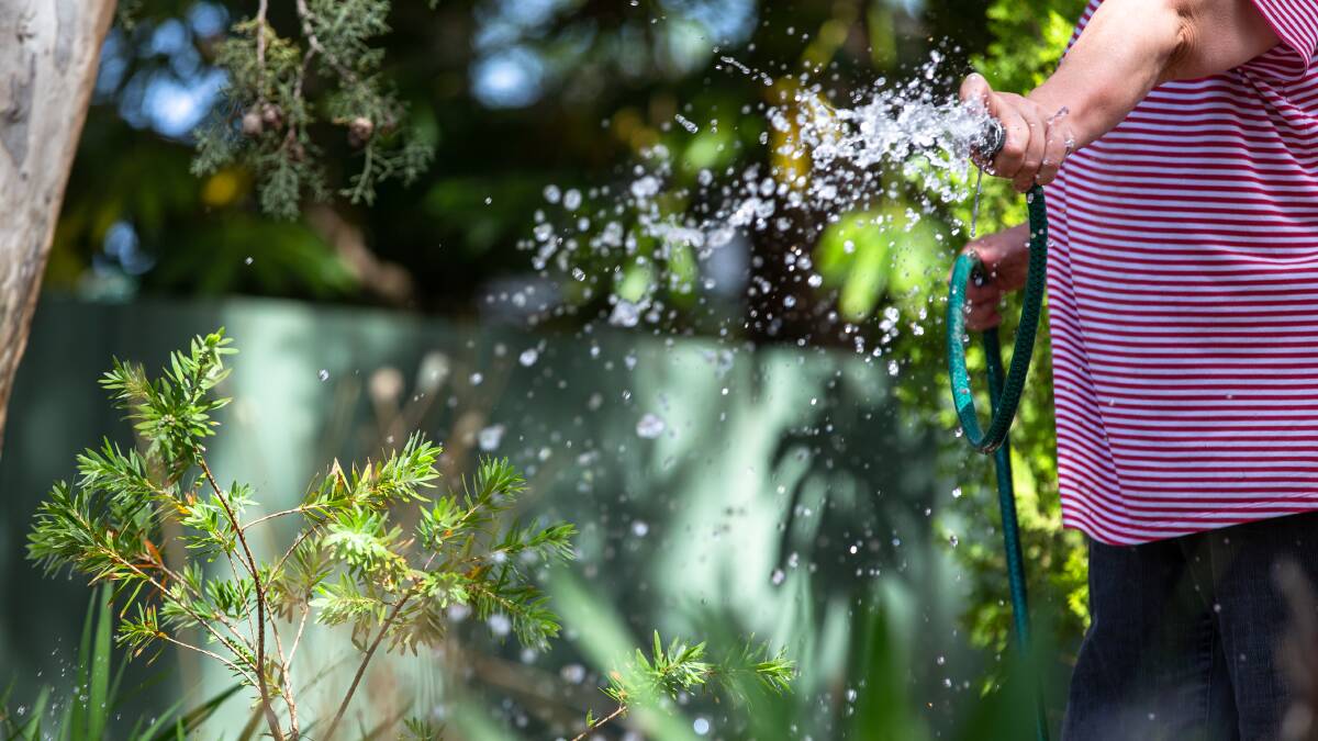 Is it time for water restrictions in the ACT? Picture: Sagi Biderman