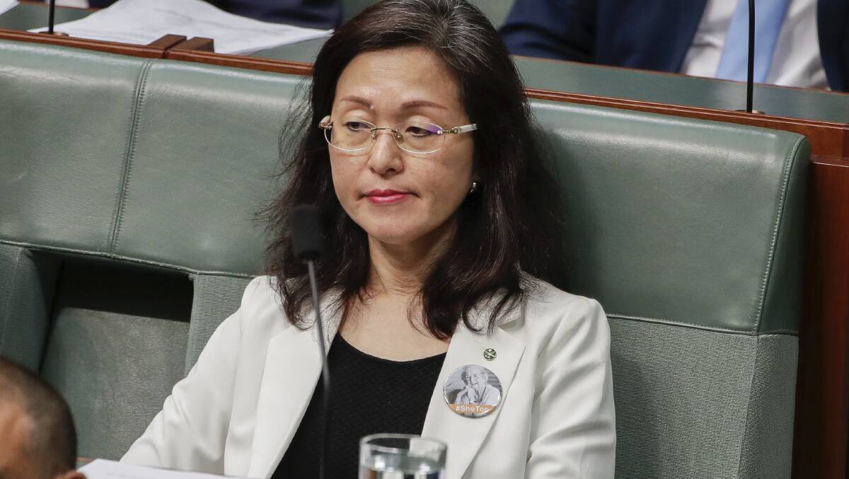 Senator Rex Patrick called for Ms Liu to make a statement to parliament about her background and China connections. Picture: Alex Ellinghausen