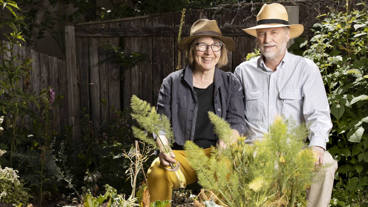 Bernadette Hince and Rod Teakle with some fennel at their Watson home. Picture: Sitthixay Ditthavong