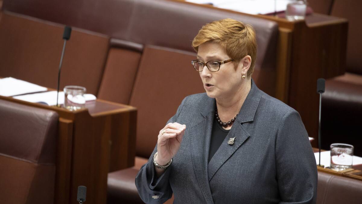 Foreign Affairs Minister Marise Payne. Picture: Sitthixay Ditthavong