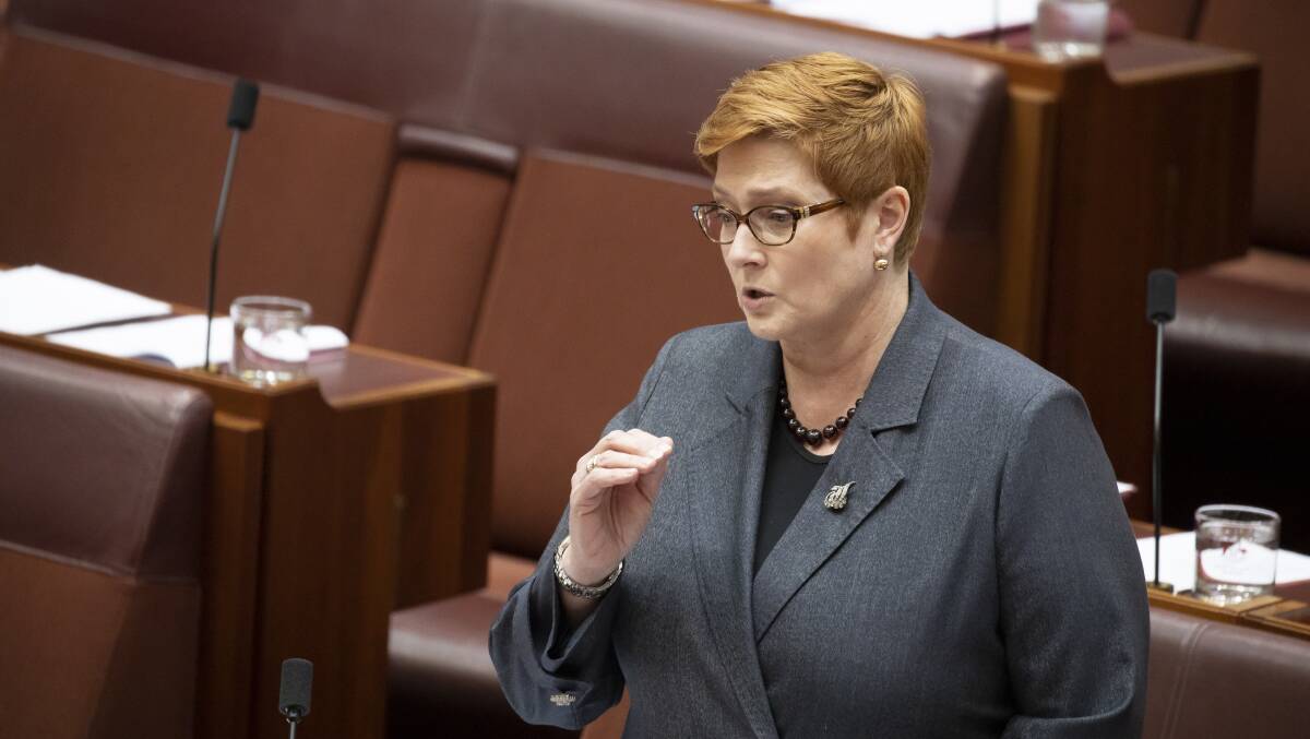 Foreign Affairs Minister Marise Payne backed US calls for an investigation into the origins of the COVID-19 pandemic. Picture: Sitthixay Ditthavong