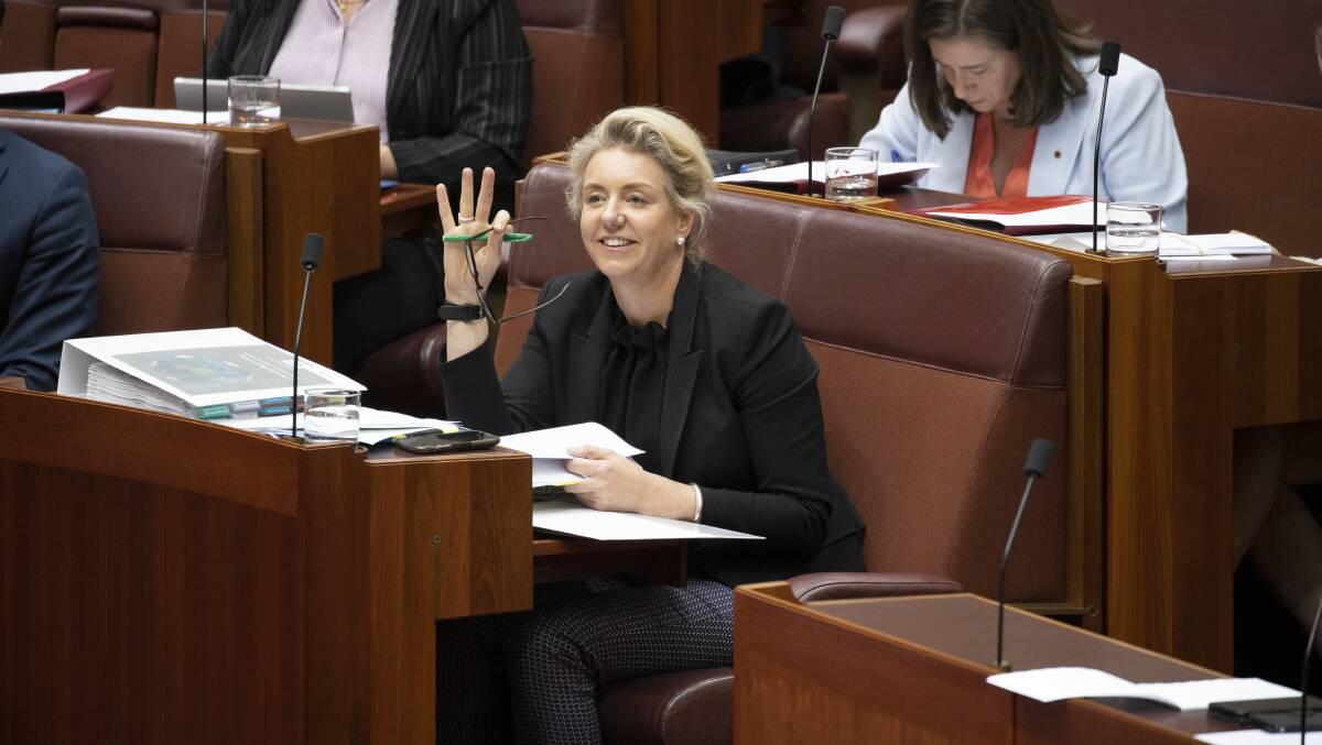 Agriculture minister and former sports minister Bridget McKenzie during Senate question time in November. Picture: Sitthixay Ditthavong