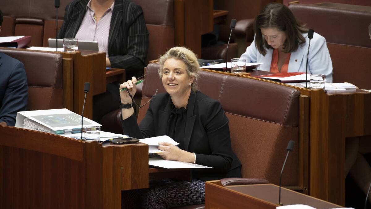 The then agriculture minister Bridget McKenzie during question time last November. Picture: Sitthixay Ditthavong