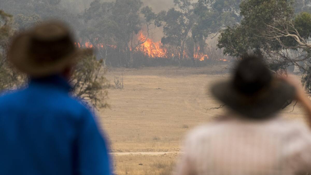 Newstart recipients disproportionately live in rural and regional communities, currently being affected by bushfires and drought. Picture: Dion Georgopoulos