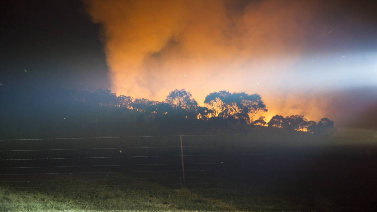 We must learn from these bushfires. Picture: Dion Georgopoulos