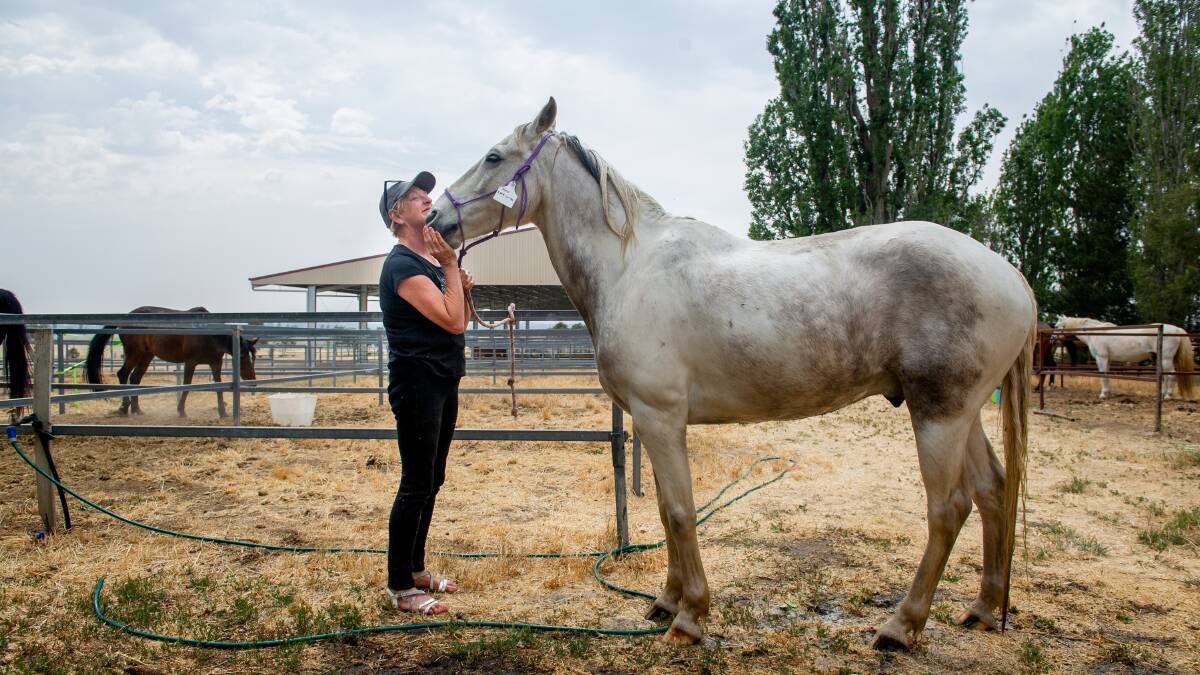 Horse owner Kate Leith and her horse Milo, who evacuated to Bungendore Showground on Friday night. Picture: Elesa Kurtz