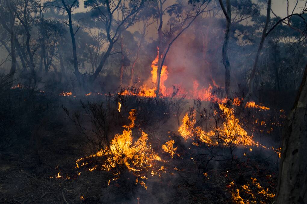 Continued spot fires lingered in Little Bombay on Saturday night from the North Black Range fire in the Tallaganda National Park bushfire. Picture: Dion Georgopoulos