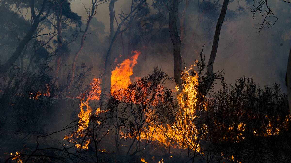 Fire crews are working to contain the North Black Range fire in the Tallaganda National Park. Picture: Dion Georgopoulos