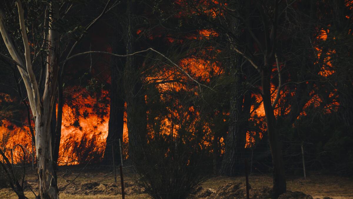 Fires on December 1 near Jinglemoney Road, Braidwood. Picture: Jamila Toderas