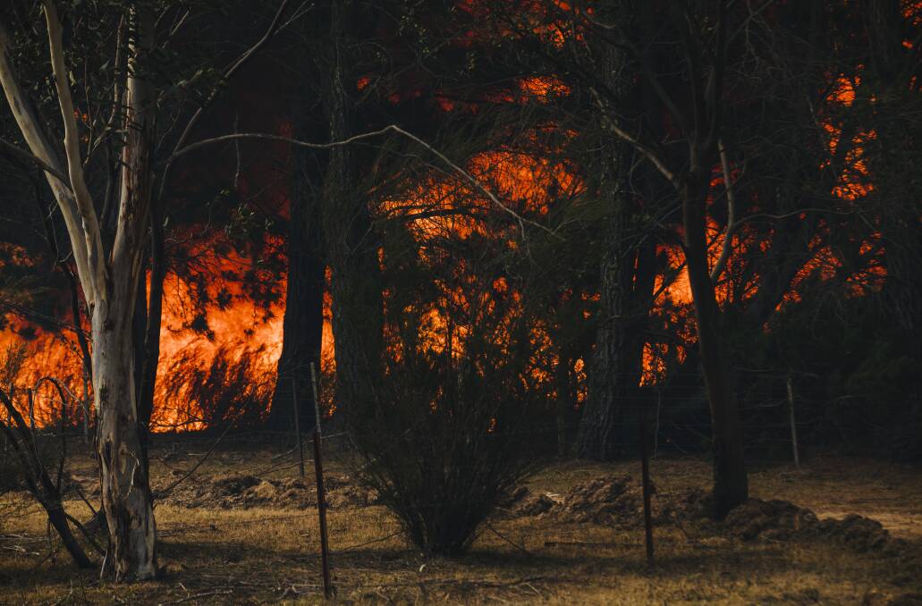 A bushfire near Jinglemoney Road, Braidwood on Sunday. Picture: Jamila Toderas