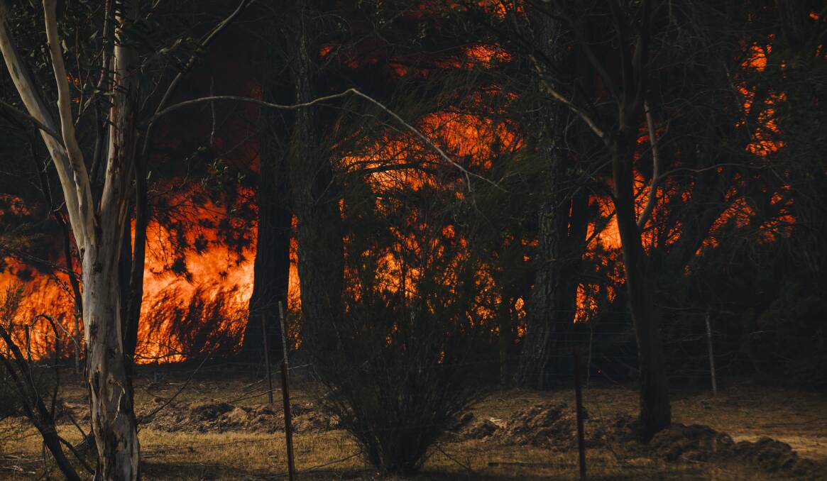 Unprecedented no longer an excuse for failing to respond adequately to bushfires. Picture: Jamila Toderas