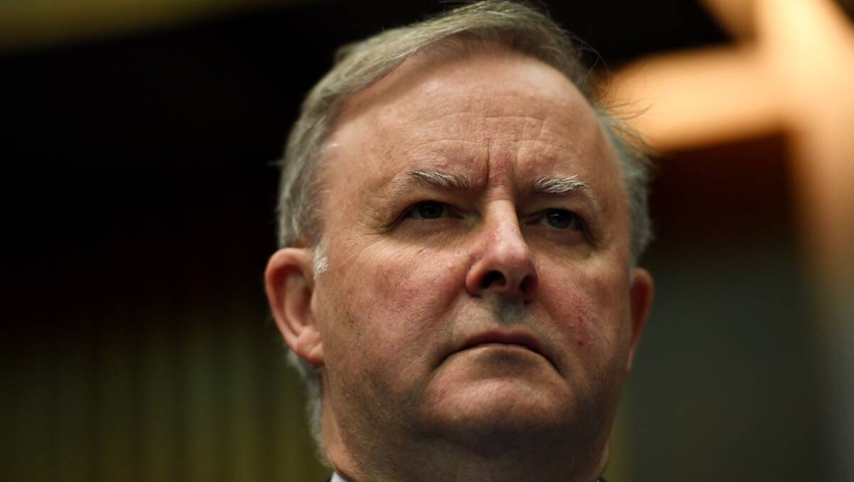 Labor leader Anthony Albanese. Getty Images.