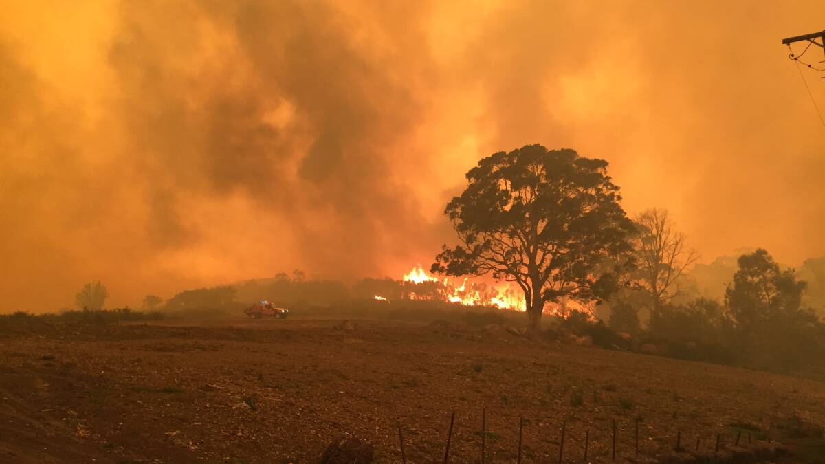Flames erupted in bushland at Bawley Point on Thursday afternoon. Picture: Doug Dingwall