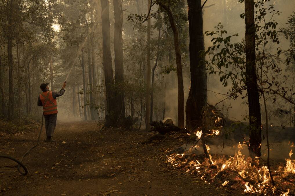 Paul Byrnes attempts to control the direction of fire burning trees on his Termeil property on Thursday morning in anticipation of strong winds in the afternoon. Picture: Sitthixay Ditthavong