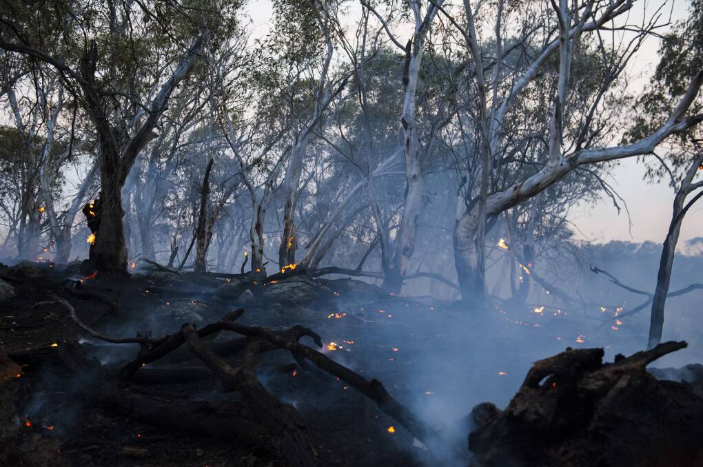 The edge of North Black Range bushfire as it burnt near Braidwood early this month. Picture: Dion Georgopoulos