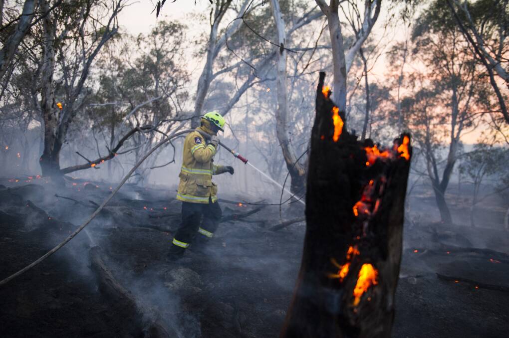 A firefighter works to put out fires at the edge of the North Black Range bushfire on December 5. Picture: Dion Georgopoulos