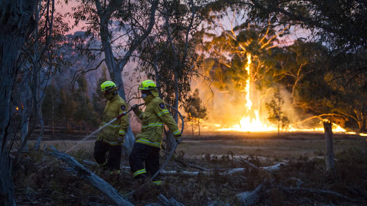 Firefighters work to put out fires at the edge of the NSW North Black Range bushfire. Picture: Dion Georgopoulos