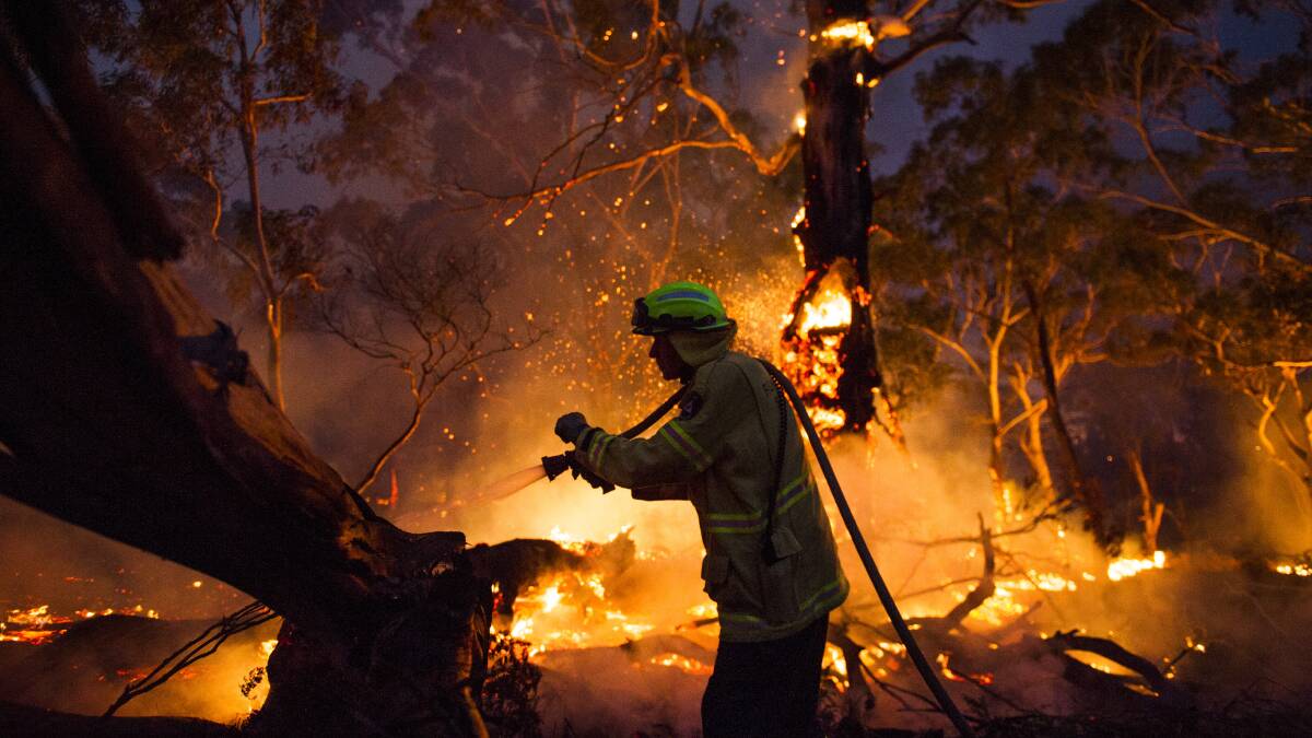 A firefighter fights the North Black Range bushfire in December. Picture: Dion Georgopoulos