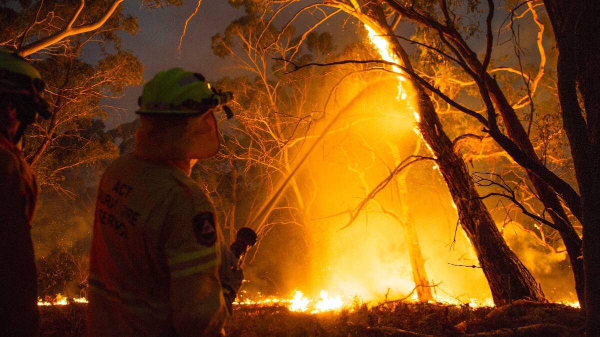 The Australian bush is explosive. It has been designed to burn. Bushfires are essential to the survival of many plants. Picture: Dion Georgopoulos