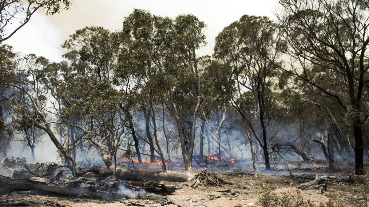 A backburn being conducted by farmers at Butmaroo Station on Saturday. Picture: Dion Georgopoulos