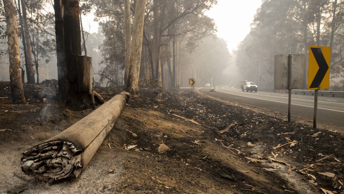 A royal commission in to the bushfires would take too long. Picture: Sitthixay Ditthavong