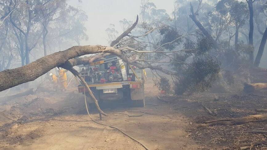 A fire truck damaged by a falling tree in the North Black Range fire. Picture: ACT ESA