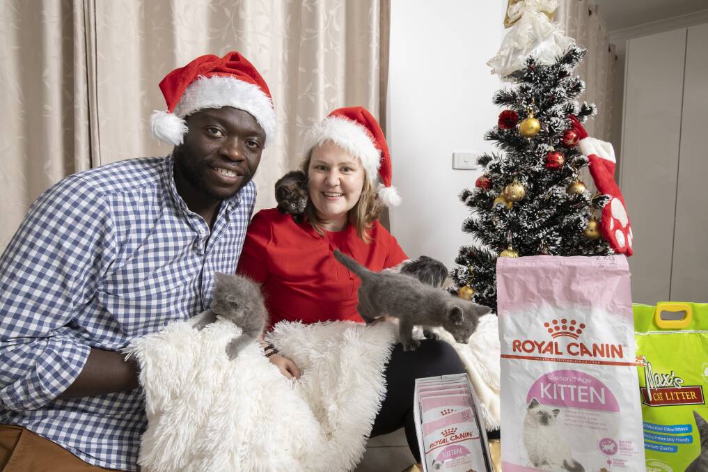 Canberra Pet Rescue's Brian Yeboah and Amanda Doelle say they are in need of cat food, litter and cat toys. Picture: Sitthixay Ditthavong