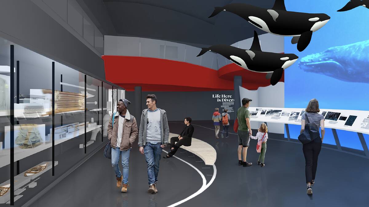 Visitors will get to experience the migration of Humpback whales in an immersive life-size projection, featuring model orcas from the Eden, NSW area. Picture: Local Projects.