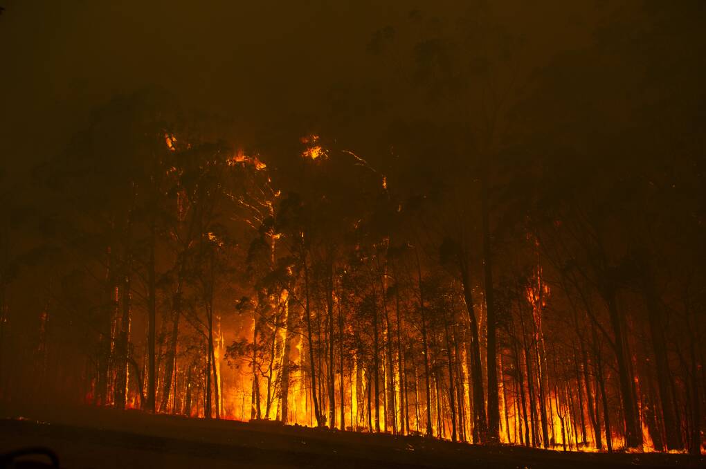 The Currowan fire burning near Jindelara Creek Road west of Ulladulla. Picture: Dion Georgopoulos