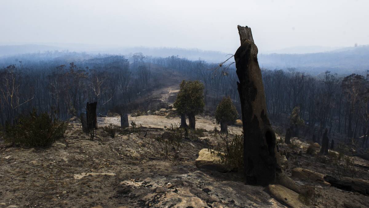 The Tianjara hillside burnt from the NSW Tianjara fire on Saturday. Picture: Dion Georgopoulos